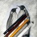 Как нарисовать пингвина: интересные факты, этапы Пингвин карандашом